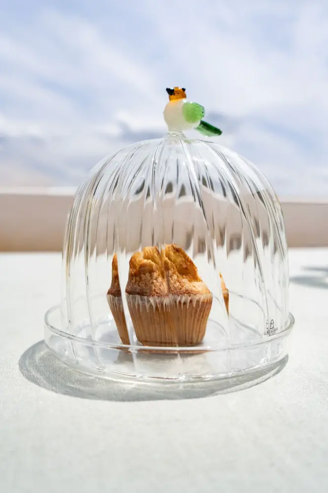 Pantalla Decorativa Campana Con Base De Vidrio Soplado Con Figura Pájaro