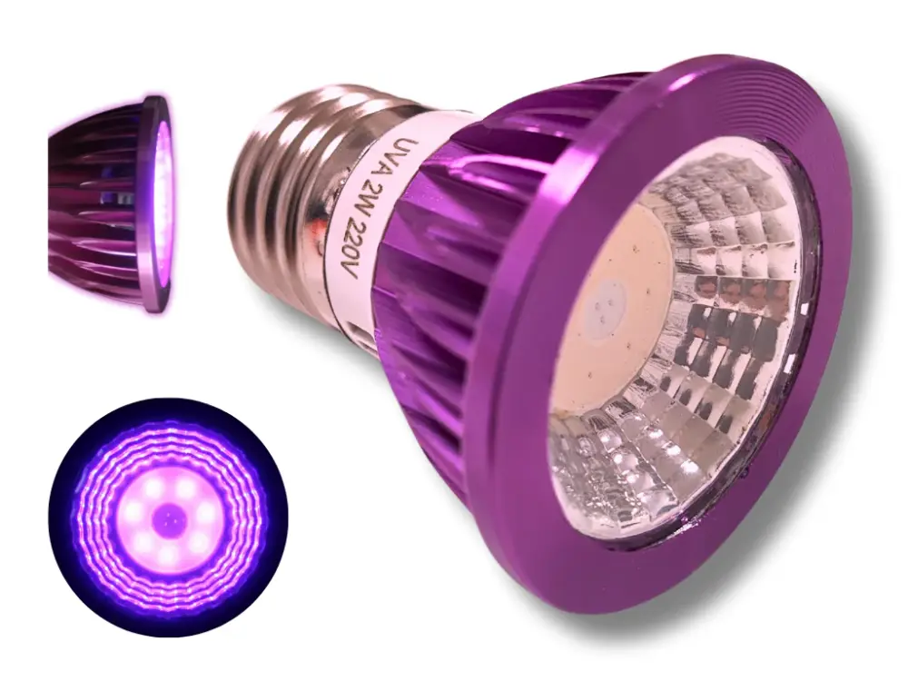 Alta Luminosidad Bombilla de Luz Nocturna LED - ReptilHábitat