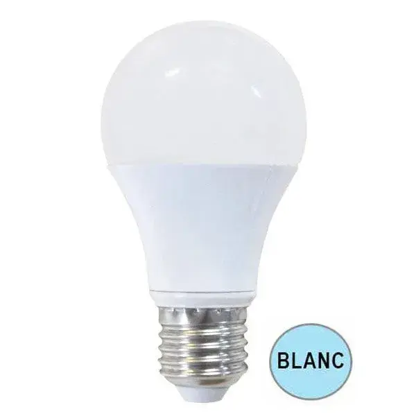Ampoule LED – 15w – E27 – 6500K Blanc froid