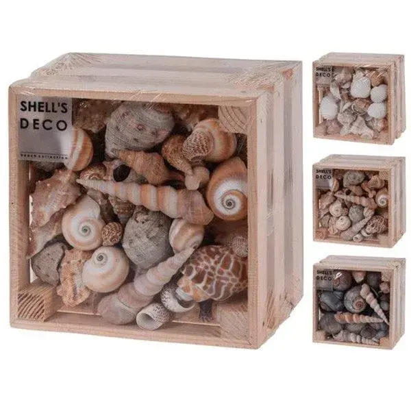 Caja de madera Shell’s Deco con surtido de caracolas con Tapa Antilluvia