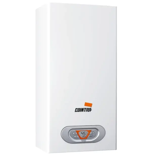 Calentador agua gas butano estanco 10 L Cointra