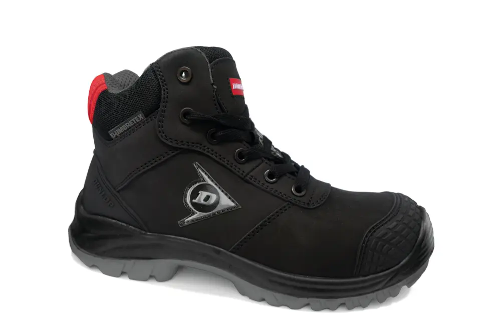 Zapatos first one adv-evo básico s1p # 43 Dystore