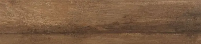 Premium Silencioso Porcelanato Esmaltado Rectificado Antideslizante 19X90cm Camel - Eliane Bosco