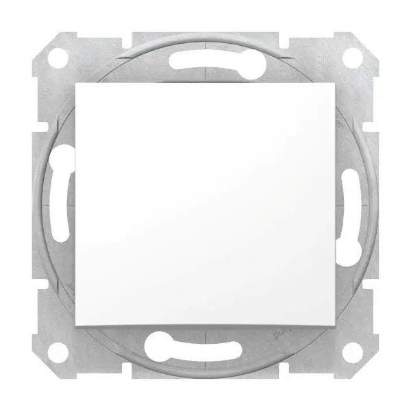 Cruzamiento sedna schneider