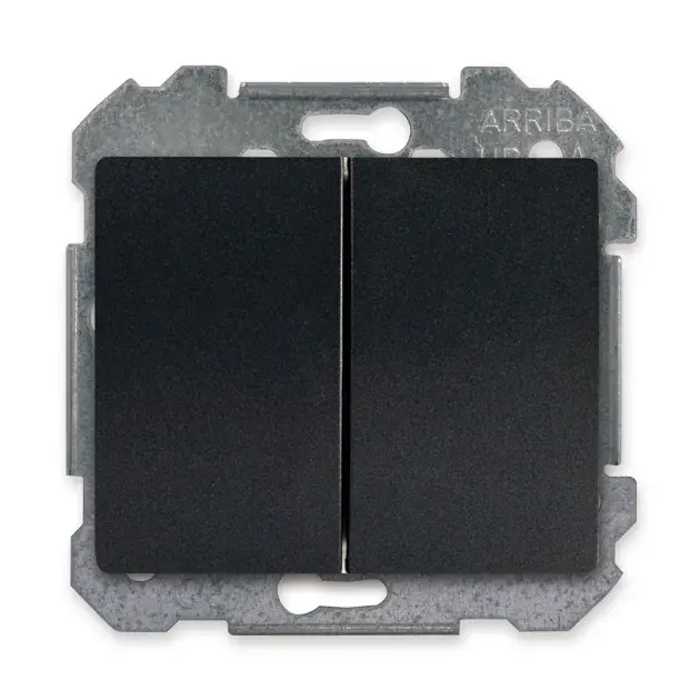 Cruzamiento antracita Siemens