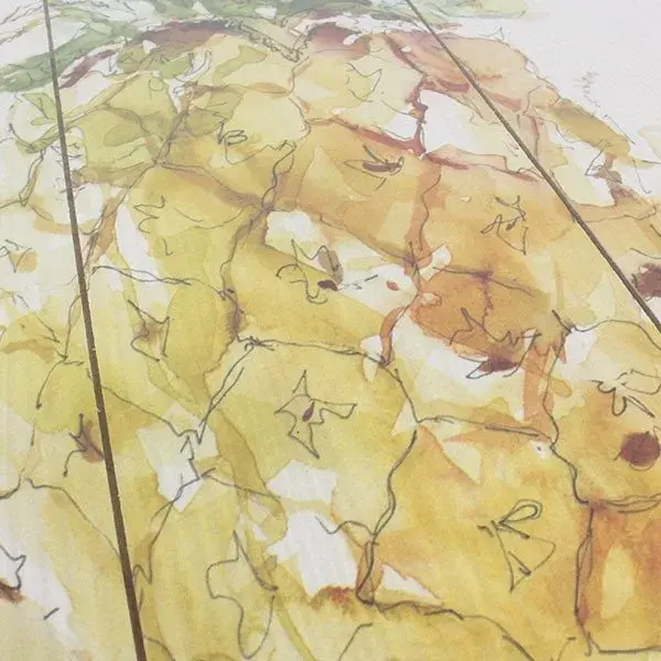 Cuadro sobre tablones Piñ Alessio Braco WS-604 40x60