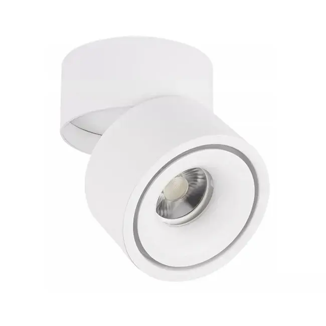 Foco sobrepuesto dimeable aluminio blanco Ø 10 cm LED 12W - TOFO0004 | Ajuste de Ángulo |