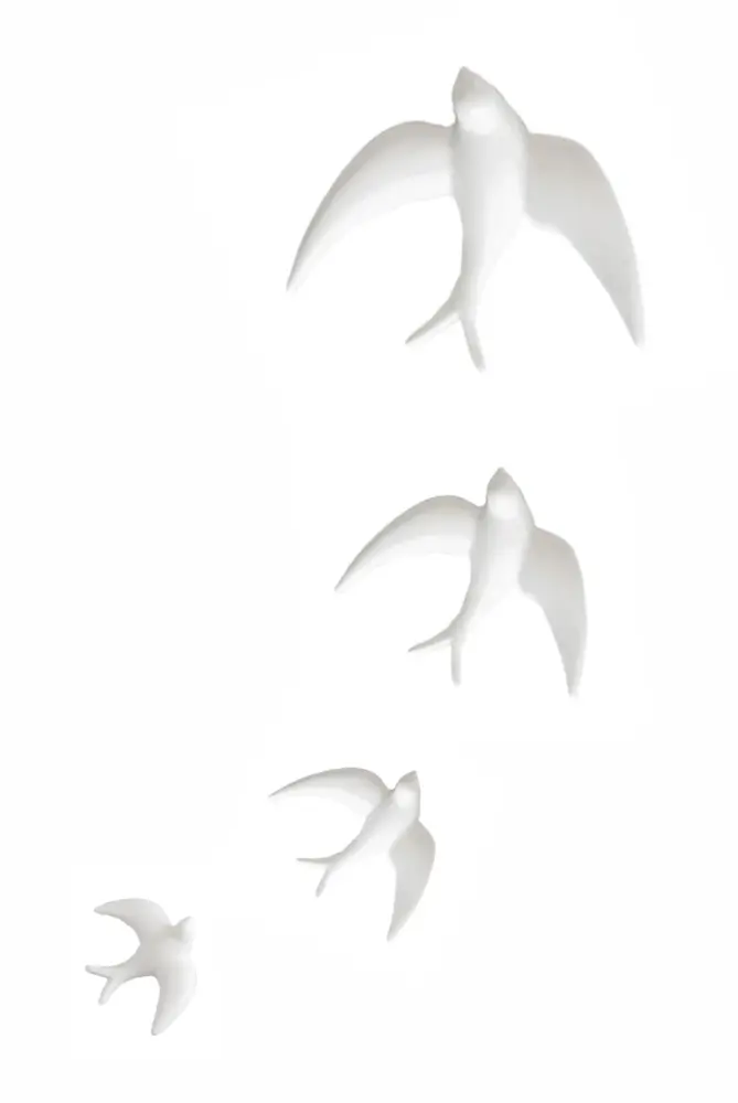 Familia de golondrinas blancas de Acero Templado