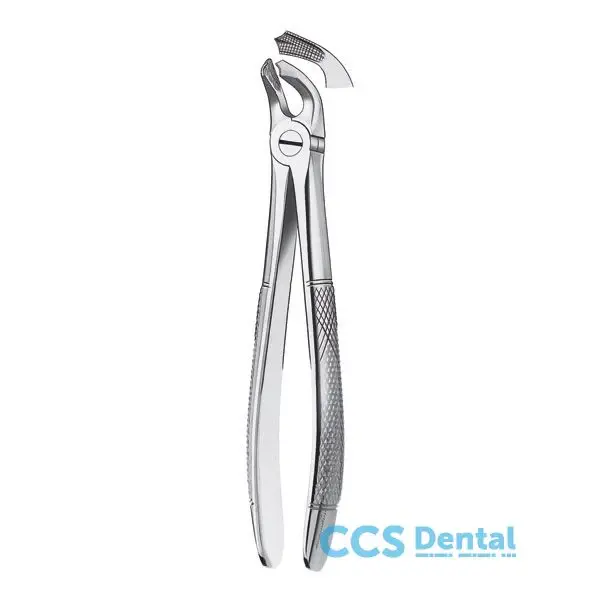 21 Forceps Molares Inferior