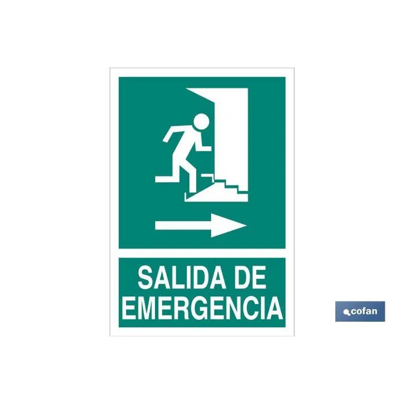 Señal luminiscente 210x148mm. Salida de emergencia texto