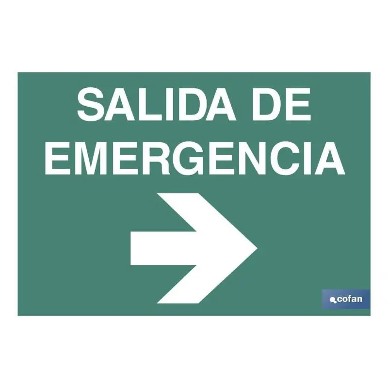 Señal luminiscente 210x148mm. Salida de emergencia texto