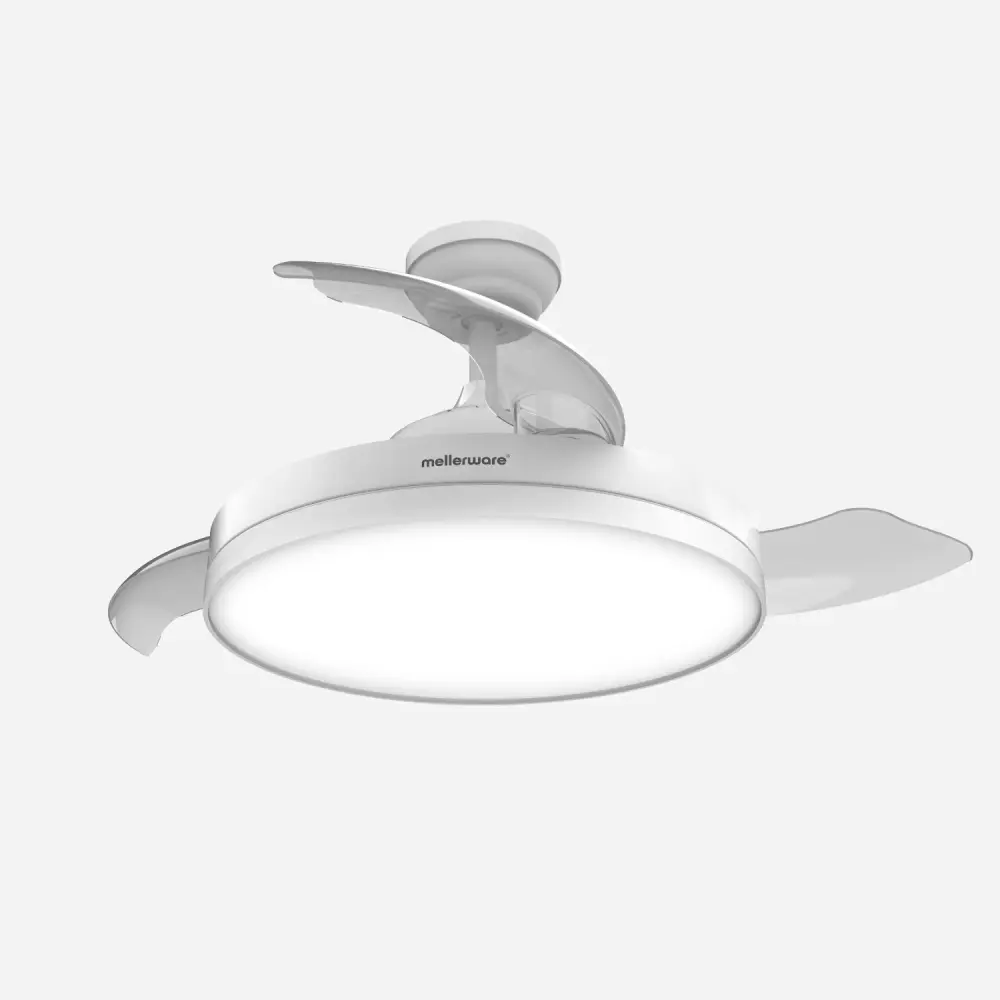 Brizy Bright Desplegable - FP