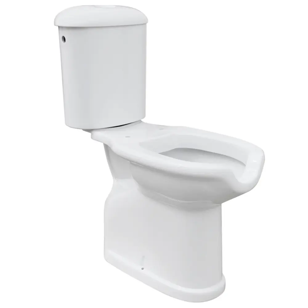 Inodoro con cisterna monobloque impecable para personas con discapacidad y personas mayores