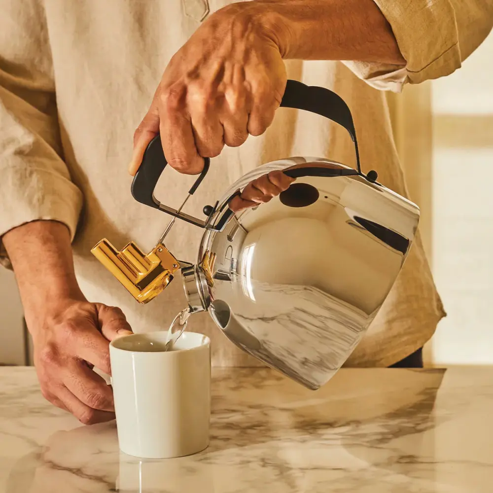 9091 Stainless Metal Kettle – Richard Sapper Alessi