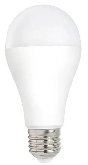 WOJ14490 LAMPARA COMÚN LED 20W E27 6500K SPECTRUM