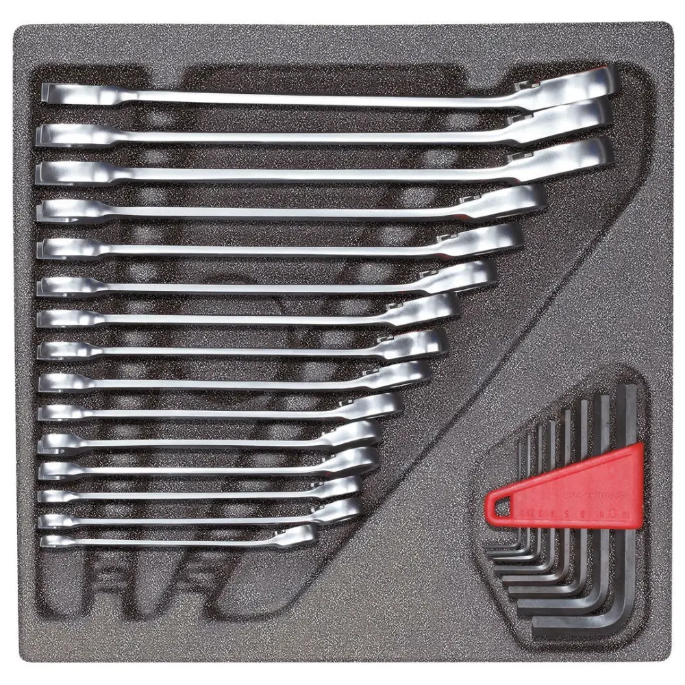 GEDORE red R22250001 - Set combination ratchet wrenches and allen keys module (3301700)