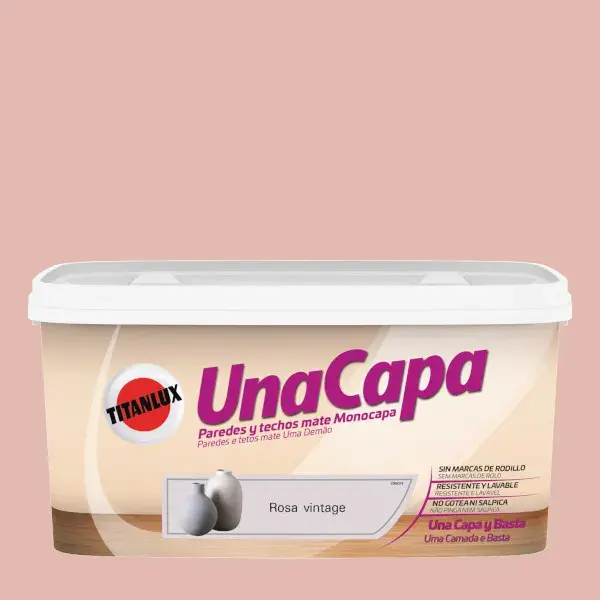 Pintura color una capa rosa vintage 4l Titan
