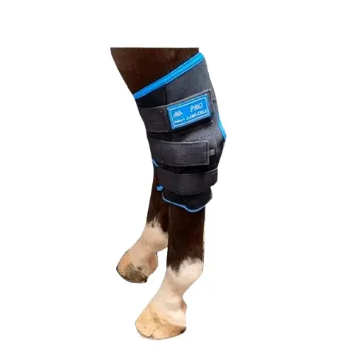 PROTECTOR GEL GÉLIDO PARA CORVEJÓN 4812639F-K/B(LC PAR