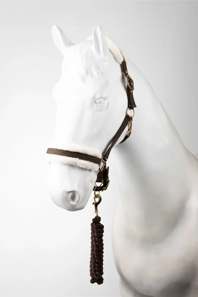 Halter and Leadrope Set Dark Canela P