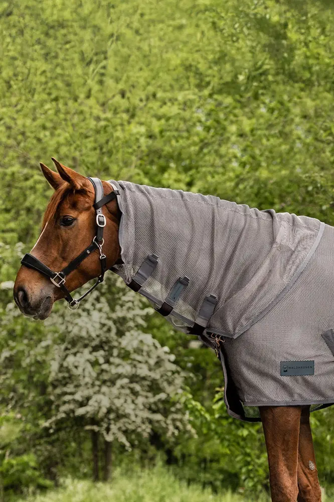 Profesional Certificado Comfort protector de cuello antimoscas Grey F