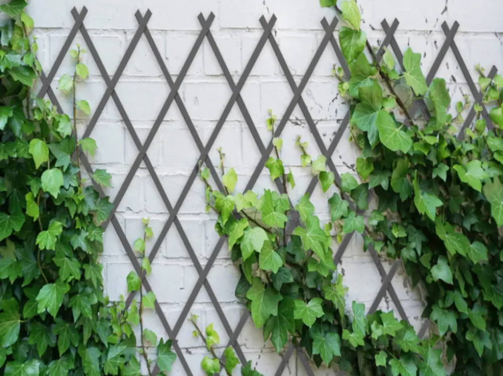 Celosia Plastica| Composicion 100% Pvc| Tutor De Plantas| Resistente| Decoracion Jardin 1x2m